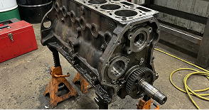 The Reason to be Chosen by Pros